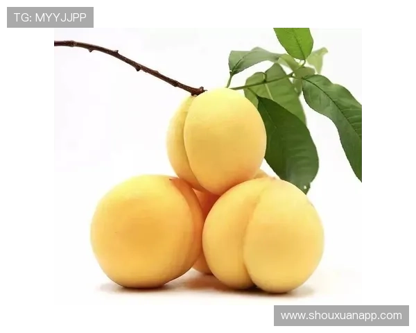 足球比赛直播桃子带你畅享激情赛事与美味水果的完美结合
